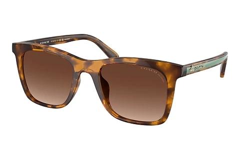 Lunettes de soleil Coach CH561 (HC8374U 5120T5)