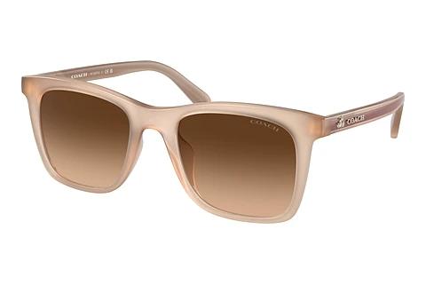 Lunettes de soleil Coach CH561 (HC8374U 574774)