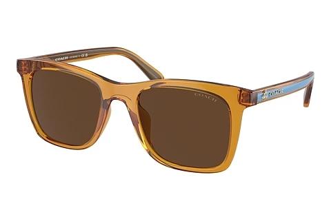 Lunettes de soleil Coach CH561 (HC8374U 57483G)