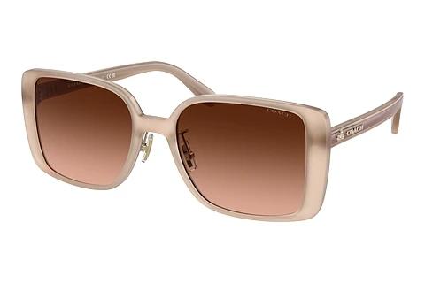 Lunettes de soleil Coach CH562 (HC8375 57475M)
