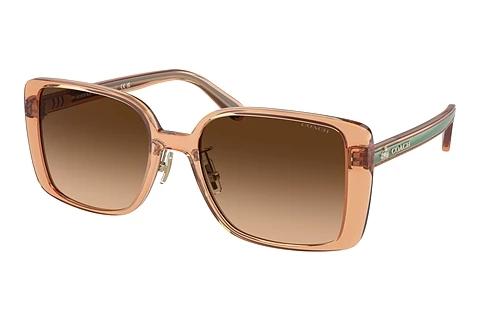 Lunettes de soleil Coach CH562 (HC8375 574974)