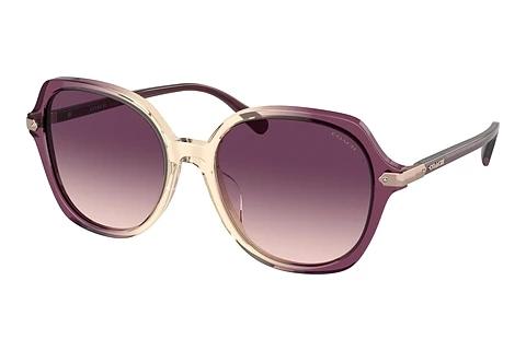 Lunettes de soleil Coach CL925 (HC8377U 57737W)