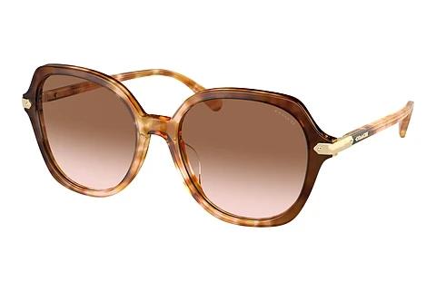 Lunettes de soleil Coach CL925 (HC8377U 57753C)
