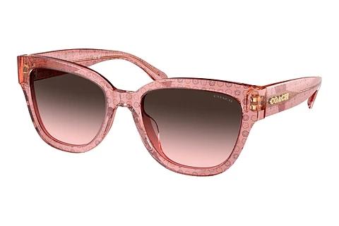 Lunettes de soleil Coach CL920 (HC8379U 583646)