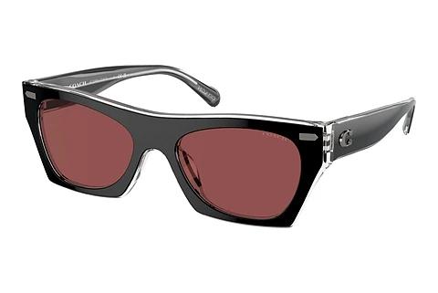 Lunettes de soleil Coach CL917 (HC8389U 572875)