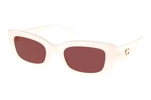 Lunettes de soleil Coach CR610 (HC8390U 580575)