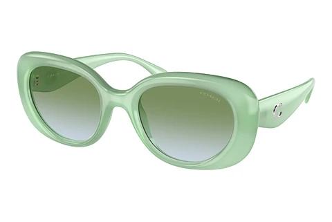 Lunettes de soleil Coach CR609 (HC8391U 5807I7)
