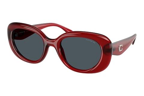 Lunettes de soleil Coach CR609 (HC8391U 586287)