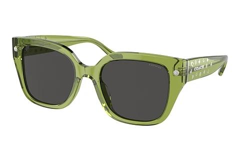 Lunettes de soleil Coach CR611 (HC8392U 581087)