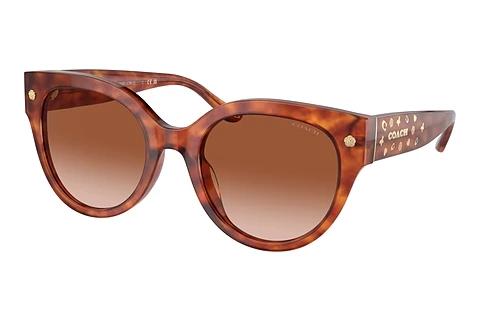 Lunettes de soleil Coach CR612 (HC8393U 577413)