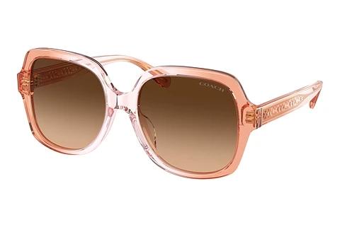 Lunettes de soleil Coach CR614 (HC8395U 581274)