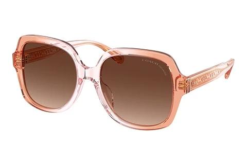Lunettes de soleil Coach CR614 (HC8395U 5812T5)
