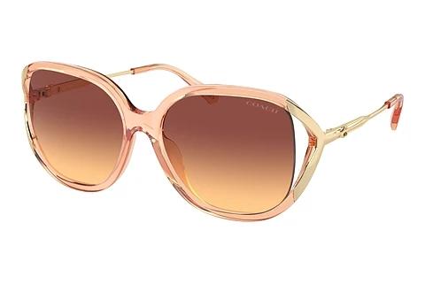 Lunettes de soleil Coach CR620 (HC8396U 556178)
