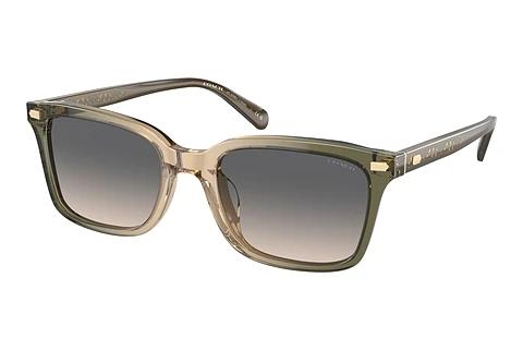 Lunettes de soleil Coach CR630 (HC8398U 5797G9)