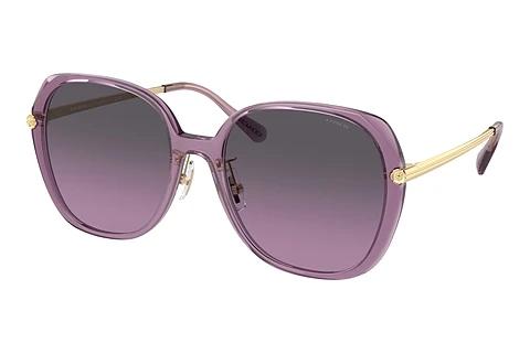 Lunettes de soleil Coach CR636 (HC8403D 582590)