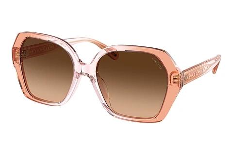 Lunettes de soleil Coach CR615 (HC8404U 581274)