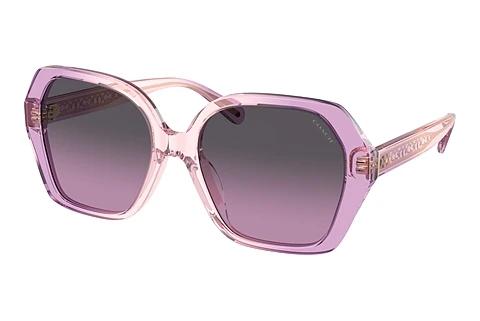 Lunettes de soleil Coach CR615 (HC8404U 581390)