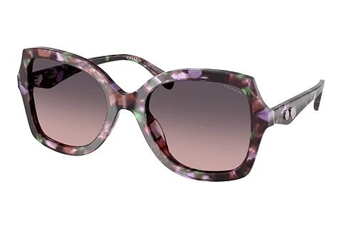 Lunettes de soleil Coach CW225 (HC8410U 584346)