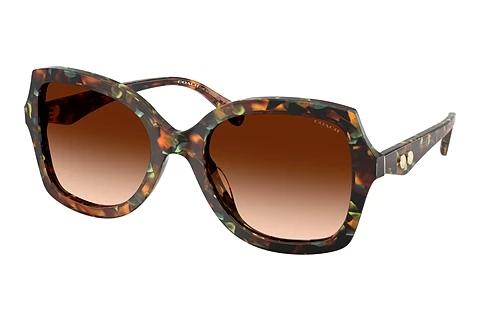 Lunettes de soleil Coach CW225 (HC8410U 584474)