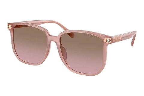 Lunettes de soleil Coach CW419 (HC8413BD 583914)