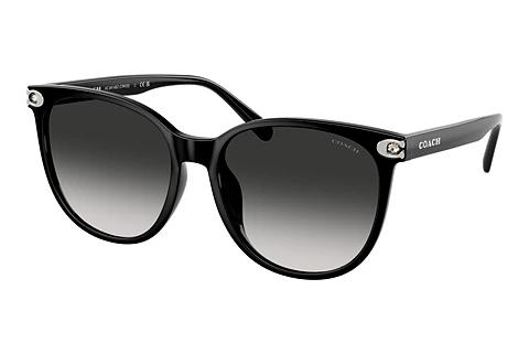 Lunettes de soleil Coach CW428 (HC8414BD 50023C)
