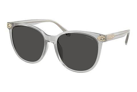 Lunettes de soleil Coach CW428 (HC8414BD 561487)