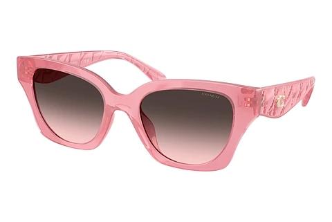 Lunettes de soleil Coach CAD18 (HC8418U 589646)