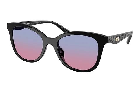 Lunettes de soleil Coach CAD25 (HC8419U 500218)