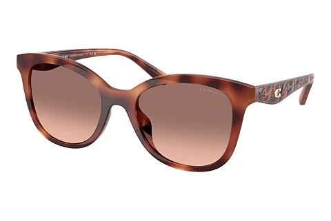 Lunettes de soleil Coach CAD25 (HC8419U 577413)