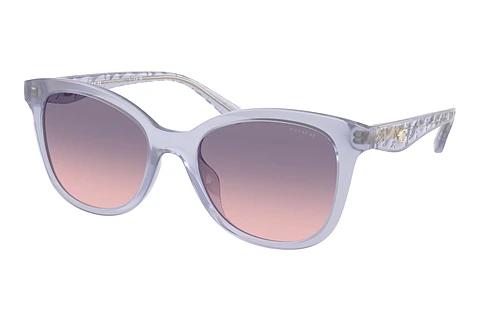 Lunettes de soleil Coach CAD25 (HC8419U 5873I6)