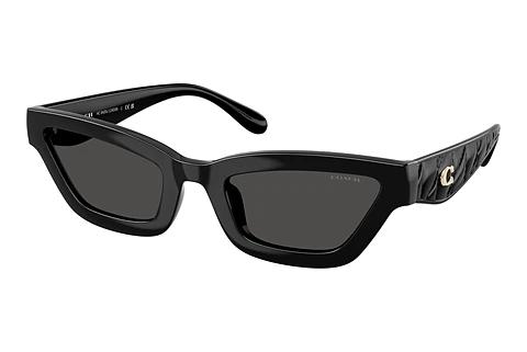 Lunettes de soleil Coach CAD28 (HC8420U 500287)