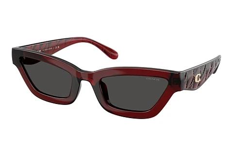 Lunettes de soleil Coach CAD28 (HC8420U 587487)