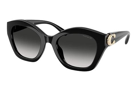 Lunettes de soleil Coach CAD31 (HC8421U 50023C)