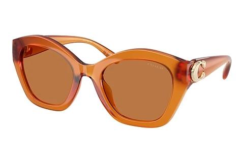 Lunettes de soleil Coach CAD31 (HC8421U 564773)