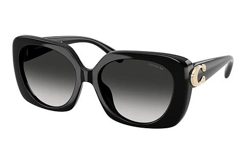 Lunettes de soleil Coach CAD33 (HC8422U 50023C)