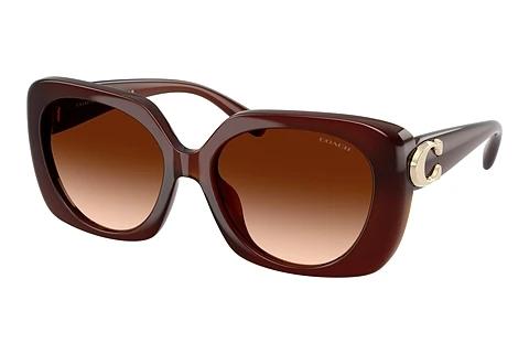 Lunettes de soleil Coach CAD33 (HC8422U 584174)