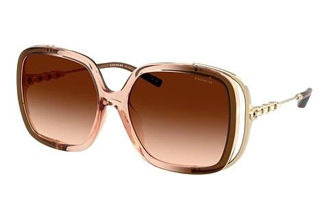 Lunettes de soleil Coach CAD80 (HC8423U 576974)