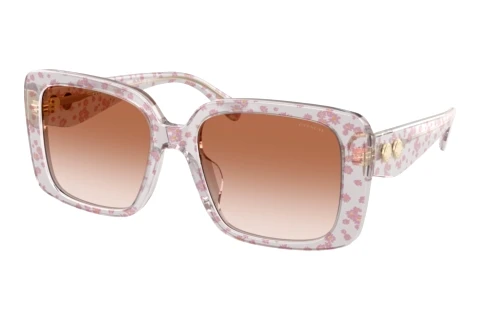 Lunettes de soleil Coach CAD54 (HC8424U 595313)