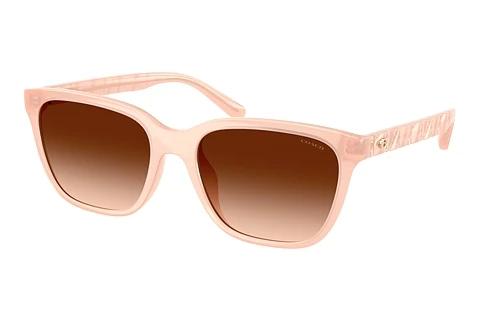 Lunettes de soleil Coach CAE86 (HC8429D 511374)