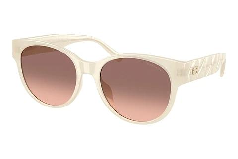 Lunettes de soleil Coach CAE87 (HC8430D 588513)