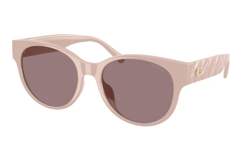 Lunettes de soleil Coach CAE87 (HC8430D 59507N)