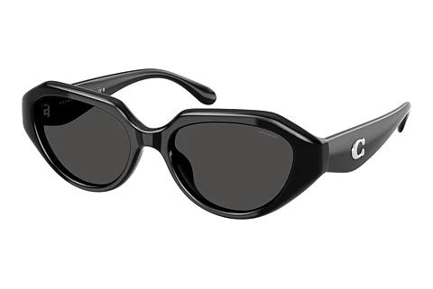 Lunettes de soleil Coach CBY77 (HC8433U 500287)