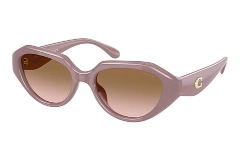 Lunettes de soleil Coach CBY77 (HC8433U 549511)