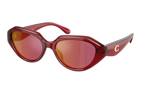 Lunettes de soleil Coach CBY77 (HC8433U 5526D0)
