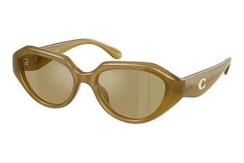 Lunettes de soleil Coach CBY77 (HC8433U 590230)