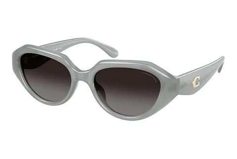 Lunettes de soleil Coach CBY77 (HC8433U 5905T3)
