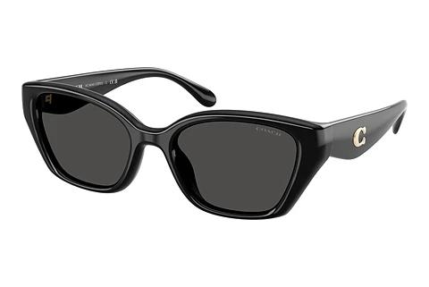 Lunettes de soleil Coach CBY91 (HC8434U 500287)