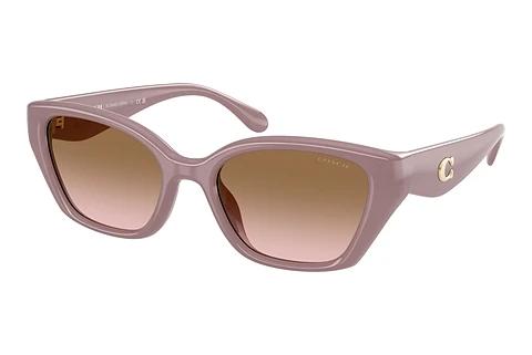 Lunettes de soleil Coach CBY91 (HC8434U 549511)