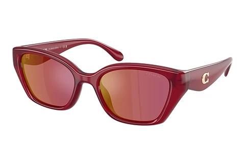 Lunettes de soleil Coach CBY91 (HC8434U 5526D0)