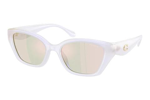 Lunettes de soleil Coach CBY91 (HC8434U 5903RG)